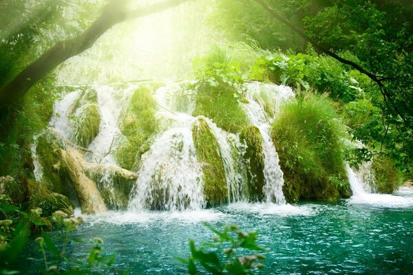 Cachoeiras da selva selvagem