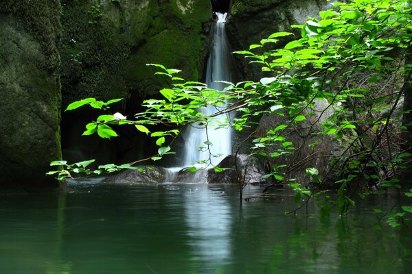Uma pequena cachoeira no lago da floresta