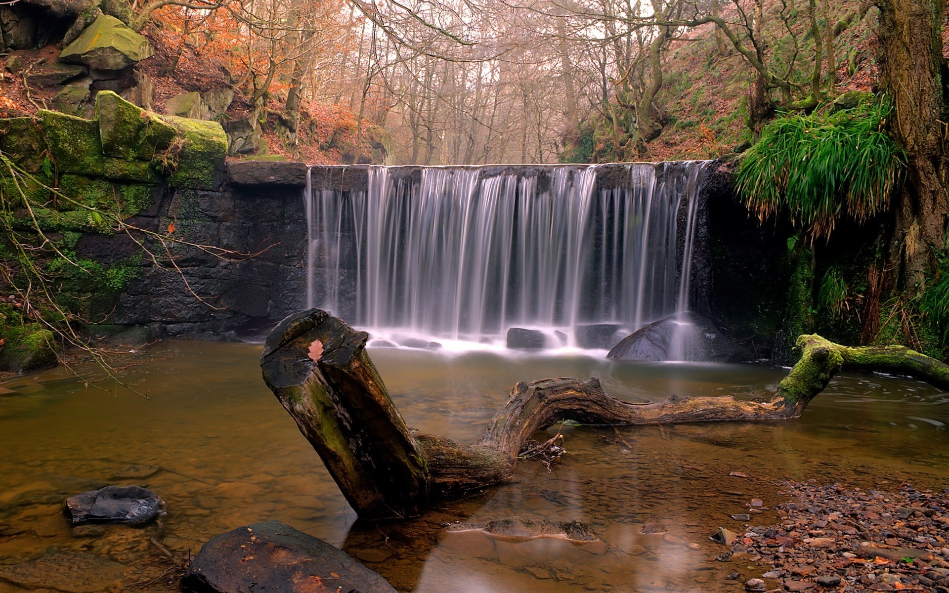 outono água cachoeira rio córrego outono rocha movimento árvore natureza ao ar livre paisagem cascata grito madeira viagem folha córrego ambiente parque