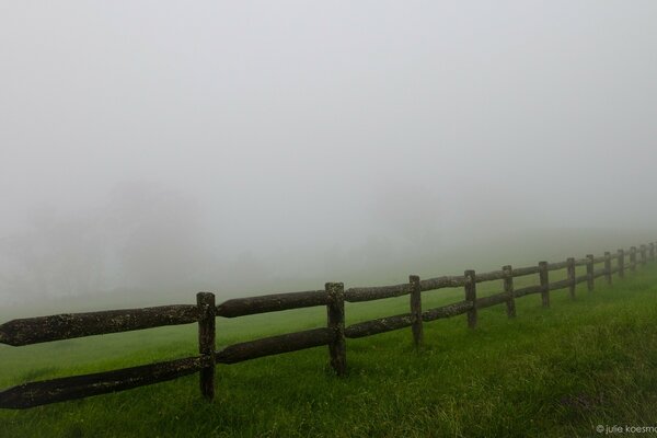 Cerca de madeira com grama verde no nevoeiro
