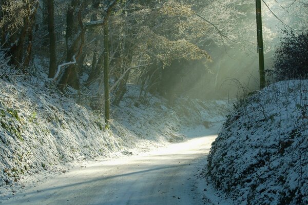 Os raios do sol no caminho da floresta no inverno