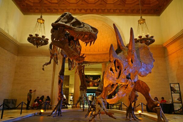 Duas esculturas de dinossauros em um museu