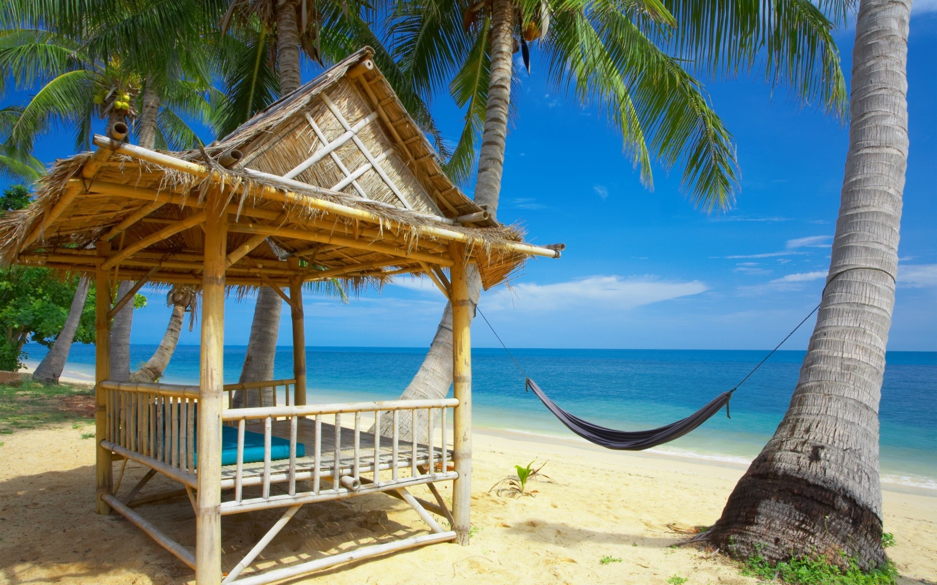 ilhas tropical palma resort verão praia férias relaxamento viagens oceano areia ilha exóticas paraíso mar turquesa idílio sol água cadeira férias