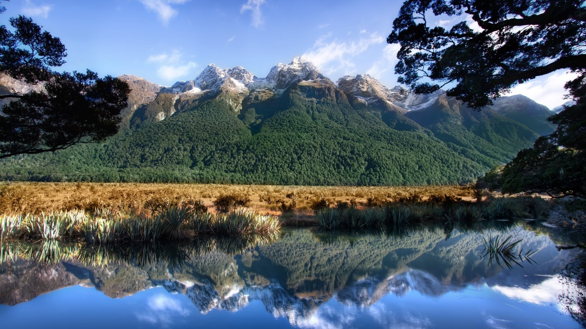 austrália e oceania água paisagem viagens natureza céu ao ar livre montanhas cênica madeira lago árvore reflexão rio